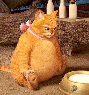 Actual weight loss